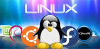 sa-linux.jpg sa-linux.jpg