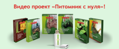 AK67LDfc.png AK67LDfc.png
