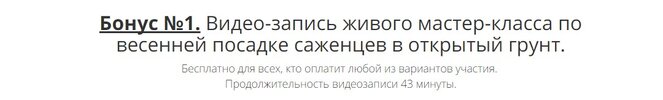 .jpg