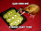 2021-04-21_21-47-45.png