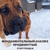 2021-04-28_20-53-58.png