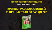 2021-06-07_12-21-45.png 2021-06-07_12-21-45.png