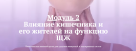 2021-06-07_12-21-45.png 2021-06-07_12-21-45.png