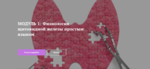 2021-06-07_12-21-45.png