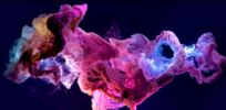 2021-07-13_19-54-52.png 2021-07-13_19-54-52.png