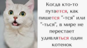 1.png 1.png