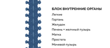 2021-08-24_19-30-41.png