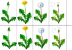 upload_2021-8-25_15-36-47.png upload_2021-8-25_15-36-47.png