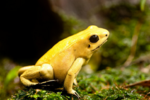 upload_2021-8-25_15-36-47.png upload_2021-8-25_15-36-47.png