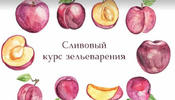 2021-11-21_17-14-10.png 2021-11-21_17-14-10.png