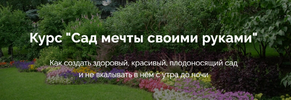 2021-11-21_17-14-10.png 2021-11-21_17-14-10.png