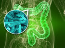 microflora.jpg microflora.jpg