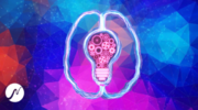 2.png 2.png