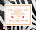 1670244857612.png