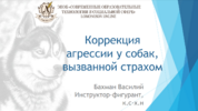 1706052396900.png 1706052396900.png