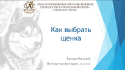 1706734510391.png