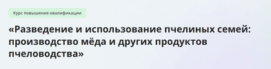 1708637890502.png