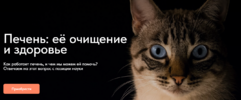 2024-03-08_08-03-51.png 2024-03-08_08-03-51.png