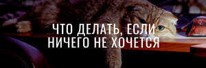 2.jpg 2.jpg