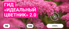 2024-05-29_19-23-09.png 2024-05-29_19-23-09.png