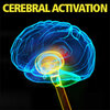 Store_CerebralActivation.jpg Store_CerebralActivation.jpg