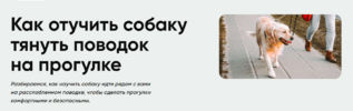 2024-08-23_16-54-07.png 2024-08-23_16-54-07.png