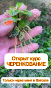 2024-10-18_15-57-57.png 2024-10-18_15-57-57.png