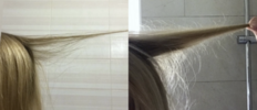 10.png 10.png