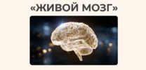 777.png 777.png