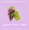 2026-05-29_09-53-12 (2).png 2026-05-29_09-53-12 (2).png