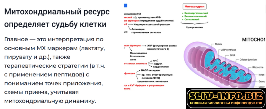 1786291209123.png 1786291209123.png