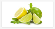 index.png