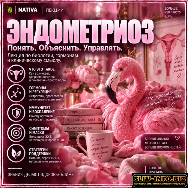 1791549634550.png