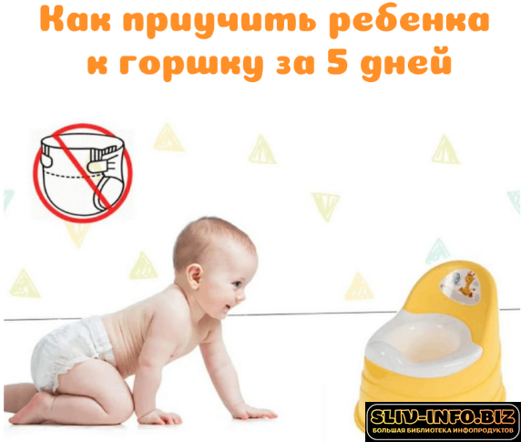 1792662173174.png 1792662173174.png