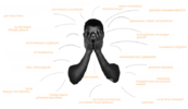 .png .png